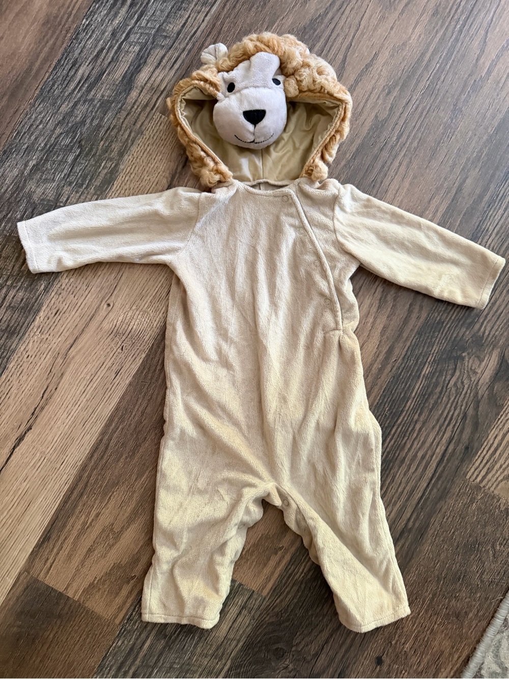 Pottery Barn Lion Halloween Costume